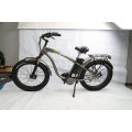 Hot Sale Powerful 1000W MID Drive Fat Tire E-Bike